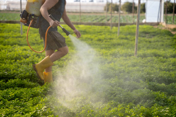 Best Affordable Pest Control Services  in Lebanon, TN