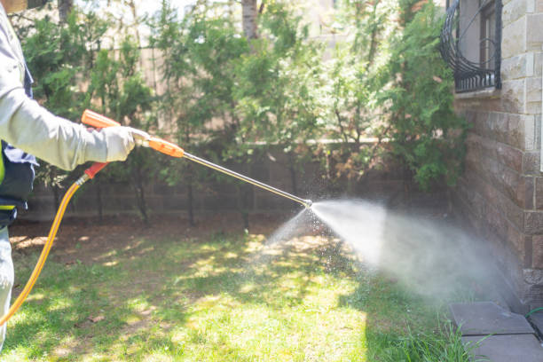 Best Affordable Exterminators  in Lebanon, TN