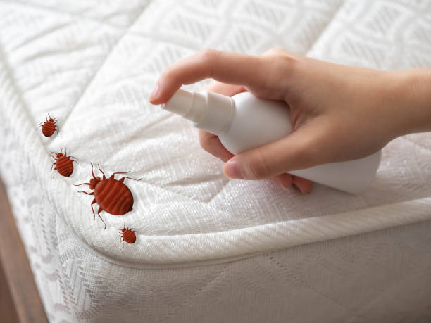 Best Bed Bug Extermination  in Lebanon, TN