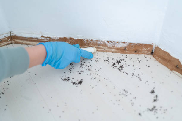 Best Wildlife Control Services  in Lebanon, TN