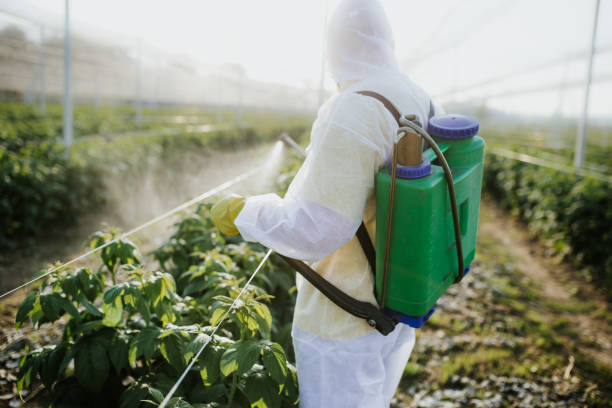 Best Emergency Pest Control  in Lebanon, TN